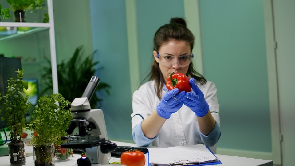 Anvisa deu início ao ciclo 2025 do monitoramento de resíduos de agrotóxicos em alimentos